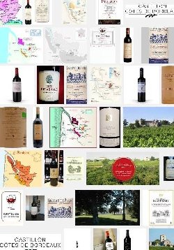 Côtes de Bordeaux Castillon (aoc-aop)