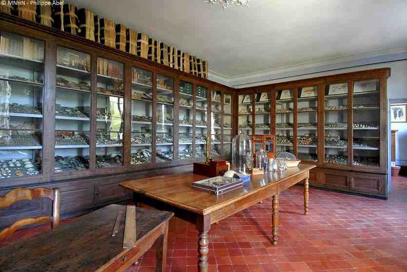 musee, harmas, fabre